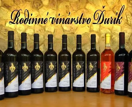 Rodinne Vinarstvo Durik Guest house