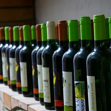 Rodinne Vinarstvo Durik Opatovska Nova Ves