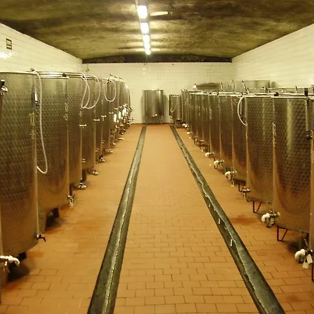 Penzion Penzion Rodinne Vinarstvo Durik Opatovska Nova Ves
