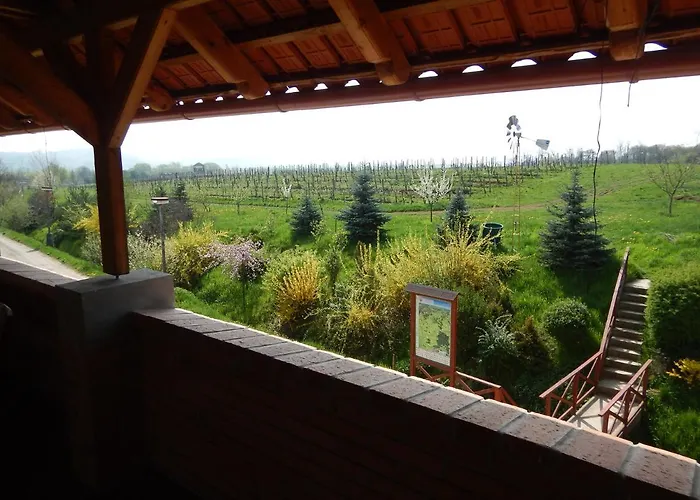 Penzion Rodinne Vinarstvo Durik *