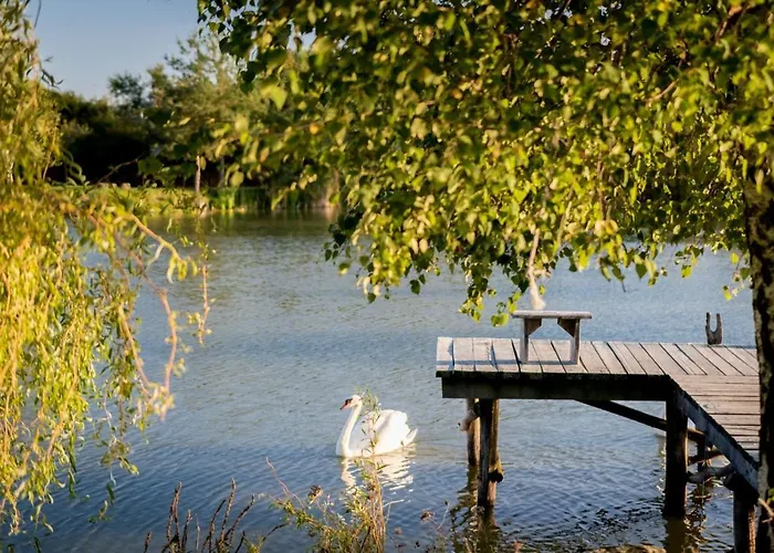 招待所 Penzion Rodinne Vinarstvo Durik