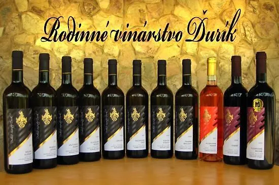 Penzion Rodinne Vinarstvo Durik 招待所