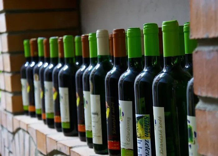 Penzion Rodinne Vinarstvo Durik Opatovska Nova Ves