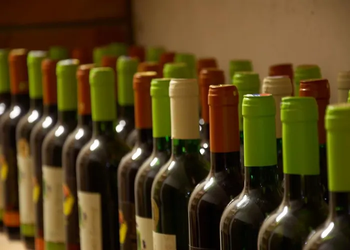 Penzion Rodinne Vinarstvo Durik 招待所