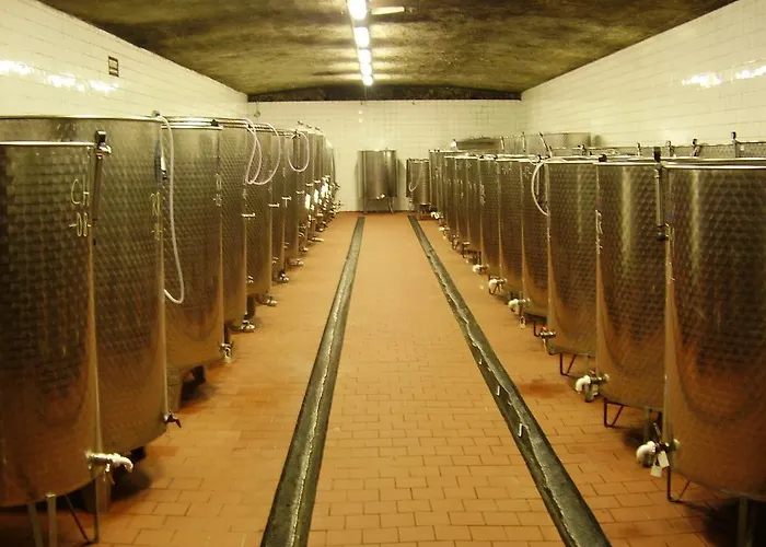 招待所 Penzion Rodinne Vinarstvo Durik Opatovska Nova Ves