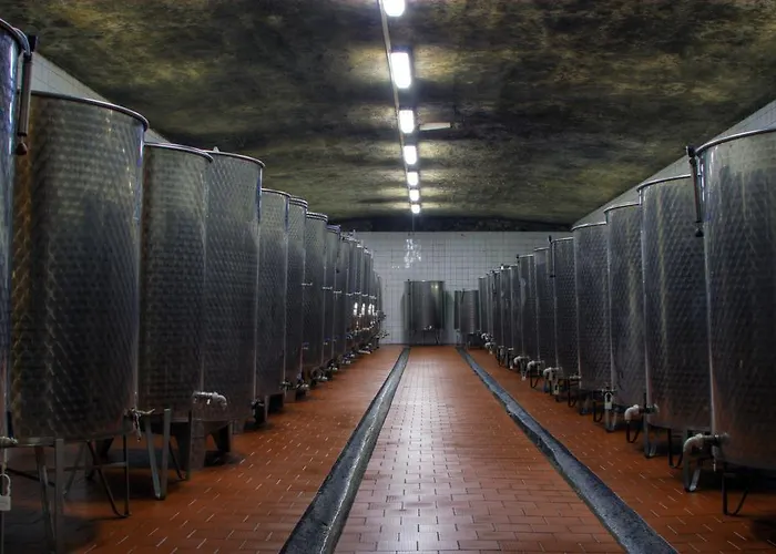 Penzion Rodinne Vinarstvo Durik *