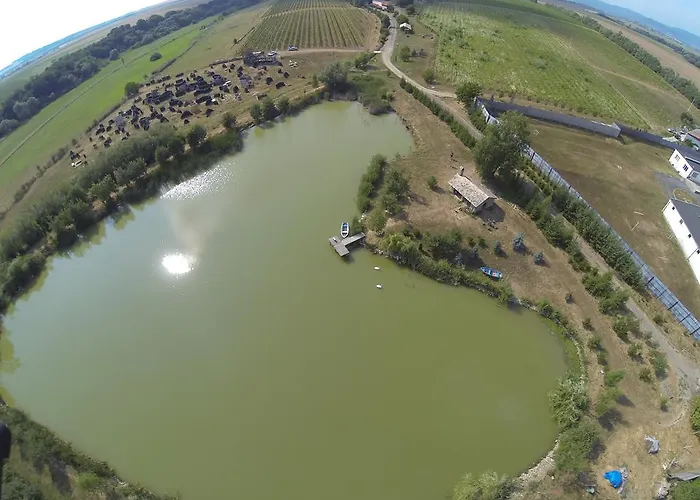 招待所 Penzion Rodinne Vinarstvo Durik Opatovska Nova Ves