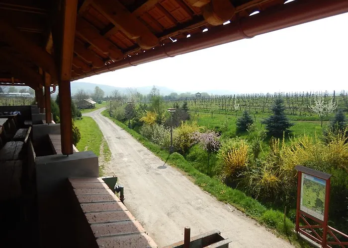 Penzion Rodinne Vinarstvo Durik * Opatovska Nova Ves