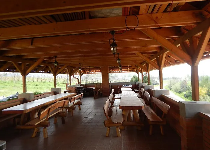 招待所 Penzion Rodinne Vinarstvo Durik