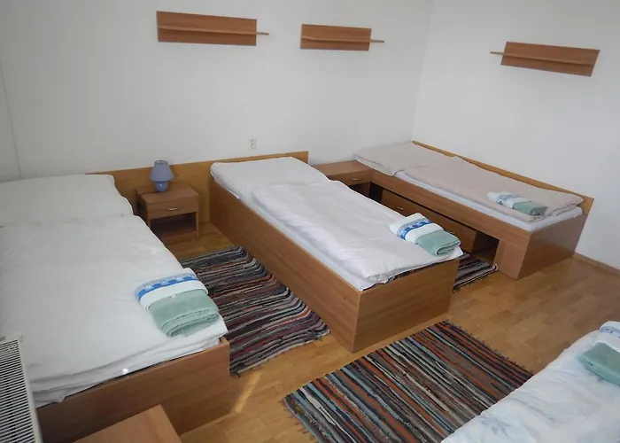 招待所 Penzion Rodinne Vinarstvo Durik *