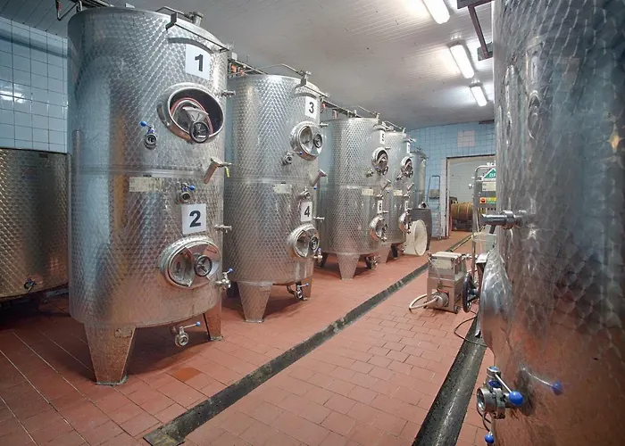 招待所 Penzion Rodinne Vinarstvo Durik Opatovska Nova Ves